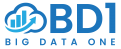 BD1  – Big Data One